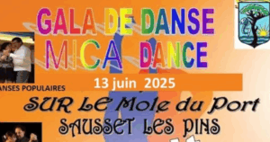 Captation Gala Danse MICA DANSE 2025