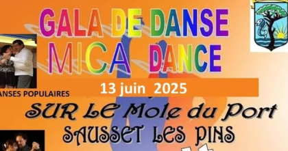 Captation Gala Danse MICA DANSE 2025